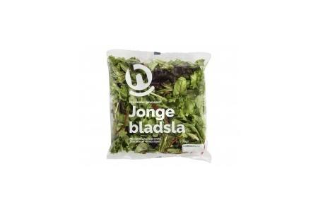 jonge bladsla hoogvliet