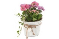 ah hortensia arrangement in zinken pot