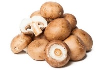 kastanjechampignons