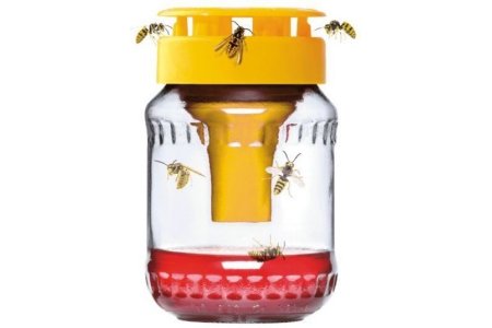wespenvanger buzzy