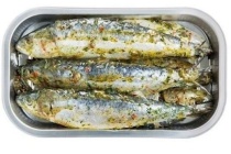 gemarineerde sardines 6 stuks