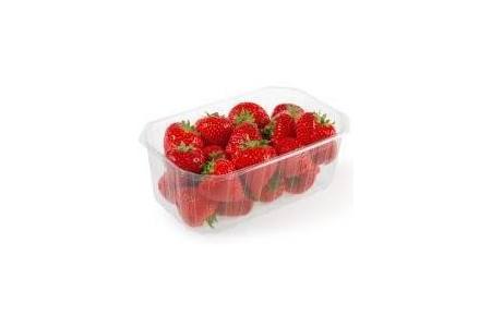 hollande aardbeien 500 gram