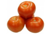 hollandse losse tomaten