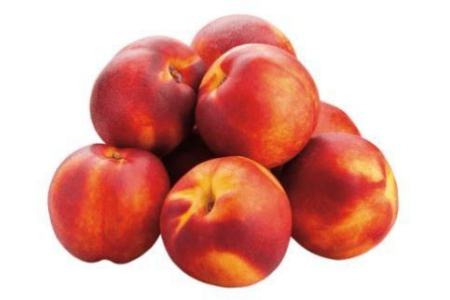 nectarines