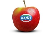 hollandse kanzi appels