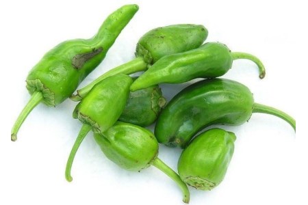 padron pepers