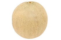 jumbo cantaloupe meloen