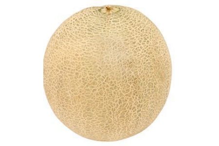 jumbo cantaloupe meloen