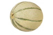 cantaloupe meloen