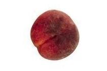 platte nectarines