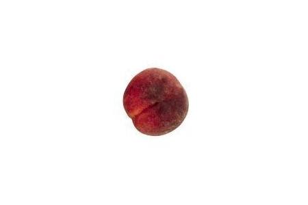 platte nectarines