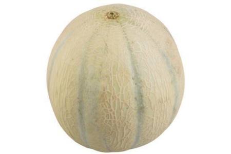 cantaloupe