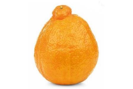 minneola s