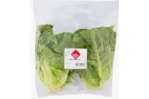 mini romaine sla