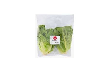 mini romaine sla