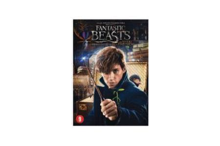 fantastic beasts and where to find them dvd