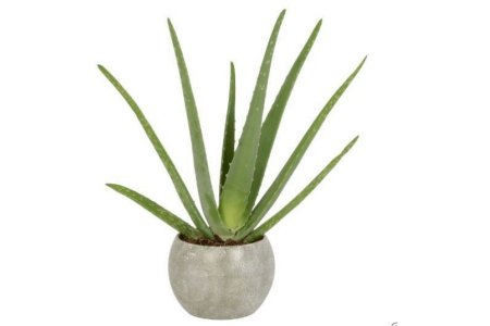 vetplant