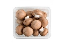 kastanjechampignons