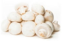 reuze champignons