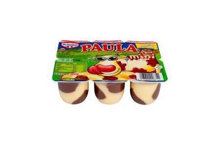 dr oetker paula