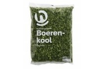 hoogvliet boerenkool fijn