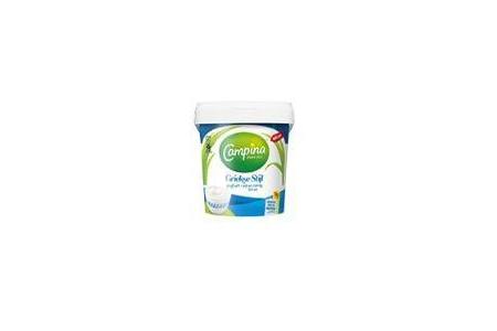 campina yoghurt griekse stijl