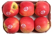 pink lady appels