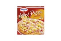 dr oetker mini pizza hawaii