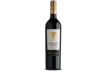 tierra del fuego gran reserva cabernet sauvignon