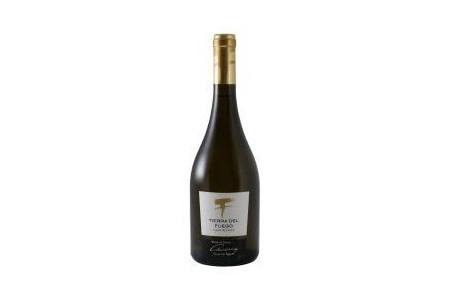 tierra del fuego gran reserva chardonnay