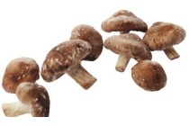 bio shiitake