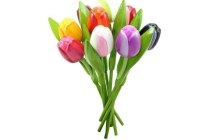 tulpen