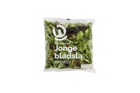 hoogvliet jonge bladsla