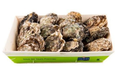 verse zeeuwse oesters met gratis oestermes