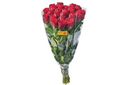 rozen 40 cm rood