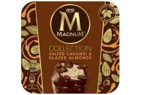 magnum vegan glazed almonds