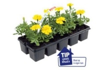 perkplanten 10 pack