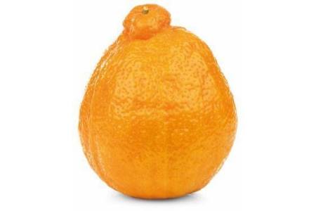 minneola