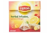 lipton herbal infusion thee lemon en ginger