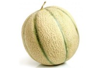 cantaloupe meloen