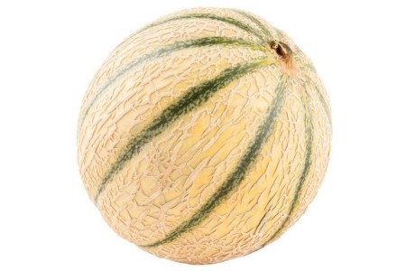 cantaloupe meloen