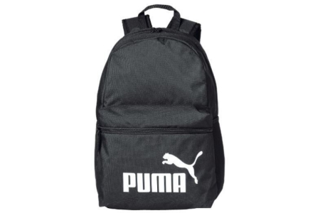 puma rugtas