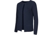 vest blauw