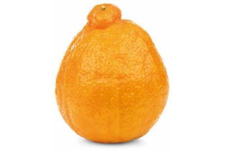 minneola s