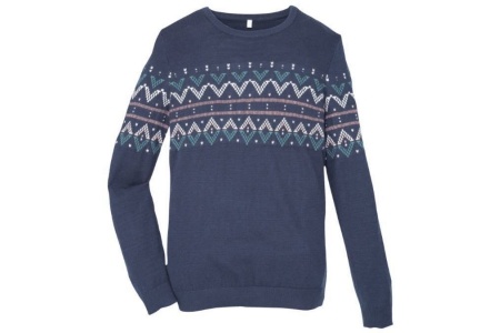 pullover donkerblauw met motief