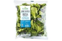 jonge bladsla met rucola