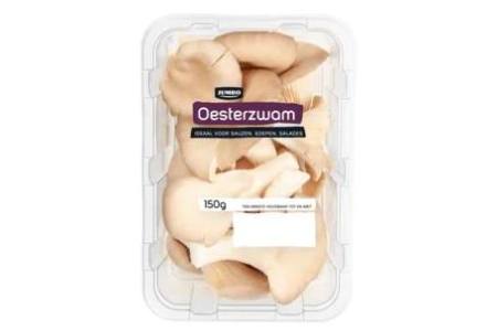 jumbo oesterzwam