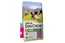 dog chow 