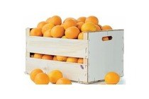 makro perssinaasappelen