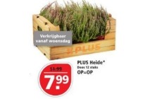 plus heide